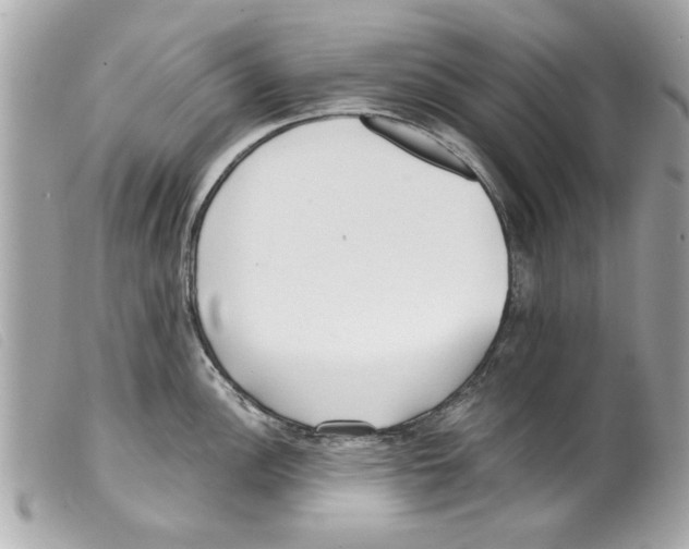 X0000099301148200805301128