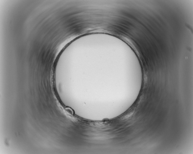 X0000099301149200805301128