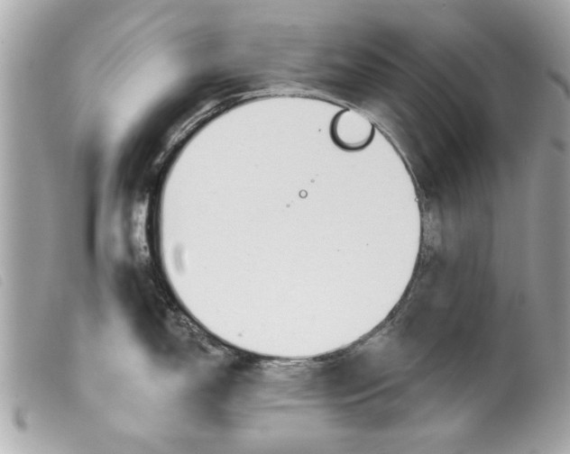 X0000099301150200805301128