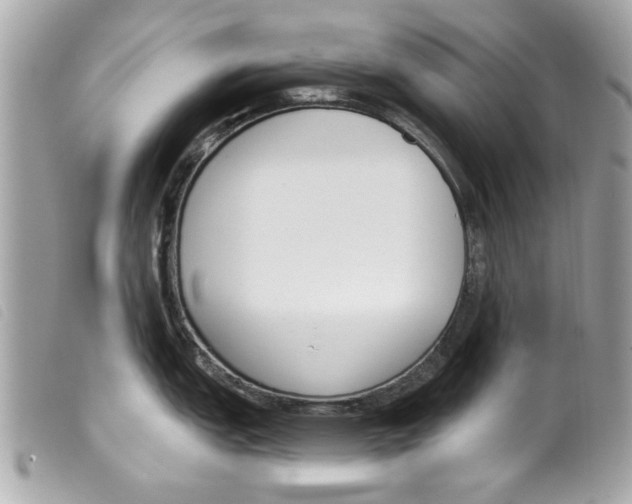 X0000099301151200805301128