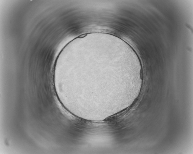 X0000099301152200805301128