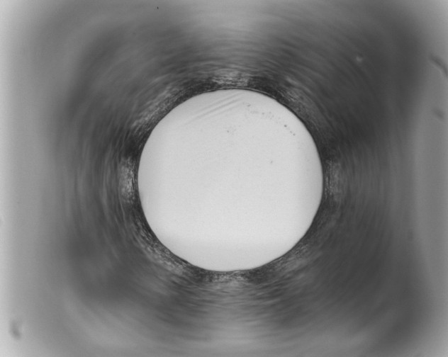 X0000099301154200805301127