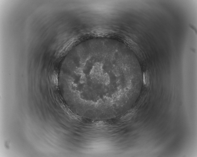 X0000099301155200805301127