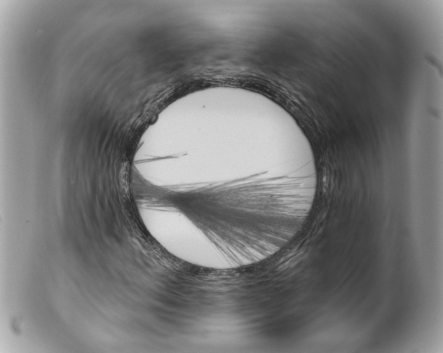 X0000099301156200805301127