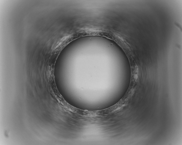 X0000099301157200805301127