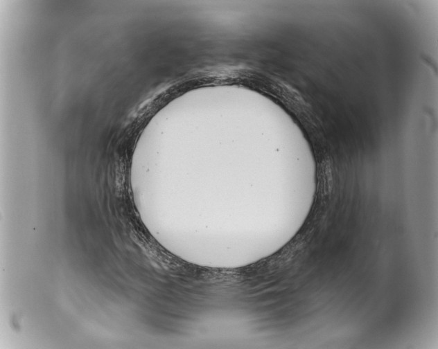 X0000099301158200805301127