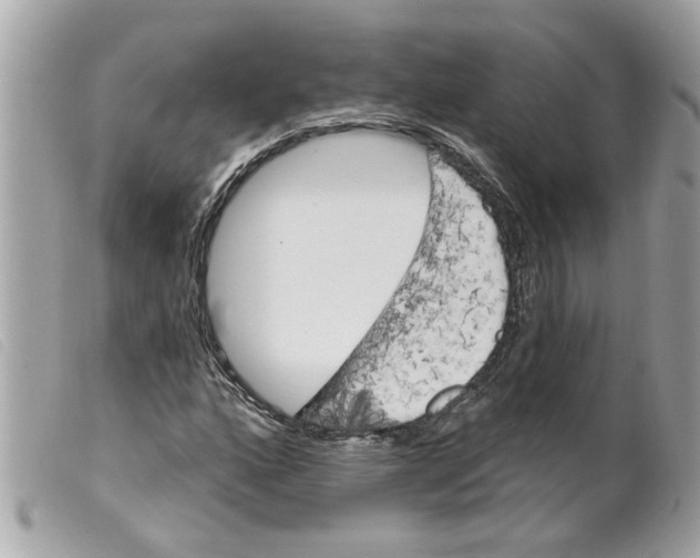 X0000099301160200805301127