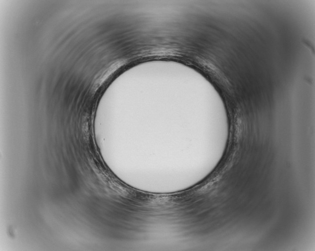 X0000099301162200805301127