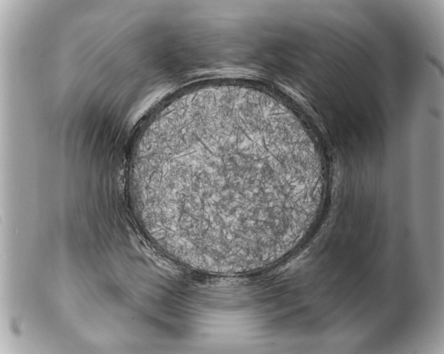 X0000099301163200805301127