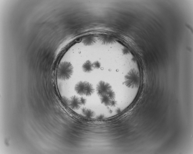 X0000099301164200805301127