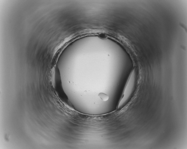 X0000099301165200805301127