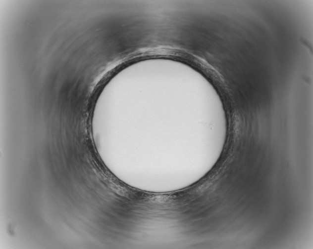 X0000099301166200805301127