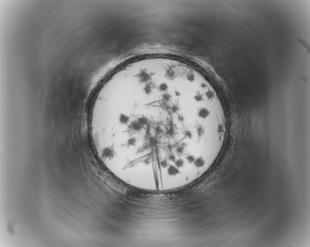 X0000099301167200805301127