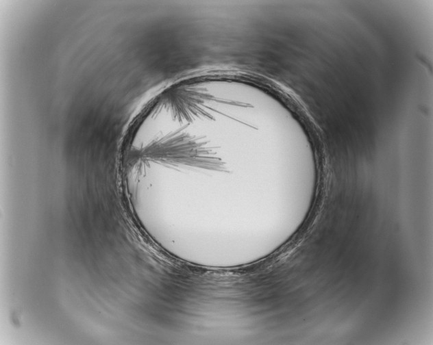 X0000099301168200805301127