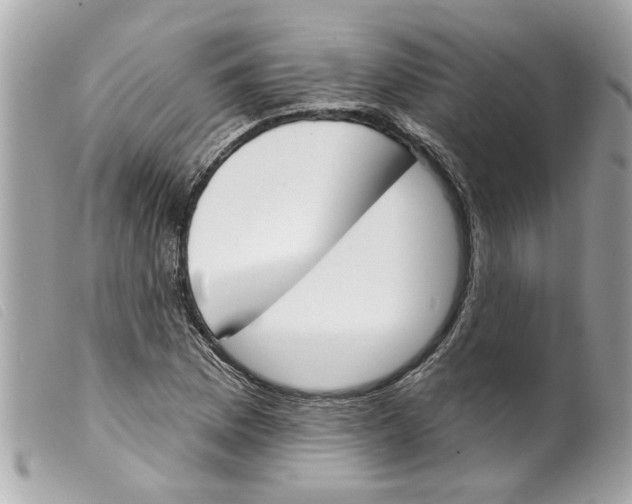 X0000099301169200805301127