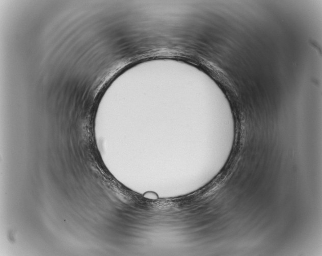 X0000099301170200805301127