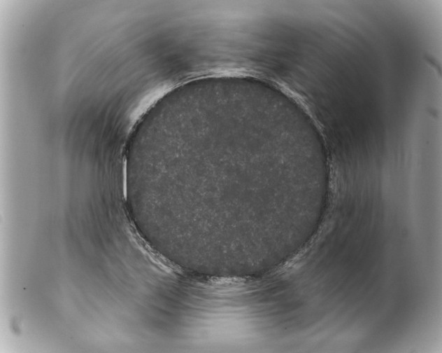 X0000099301171200805301127