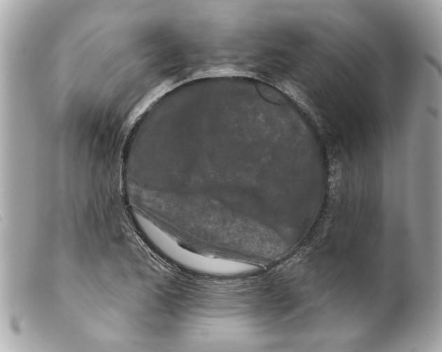 X0000099301173200805301127