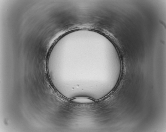 X0000099301174200805301127