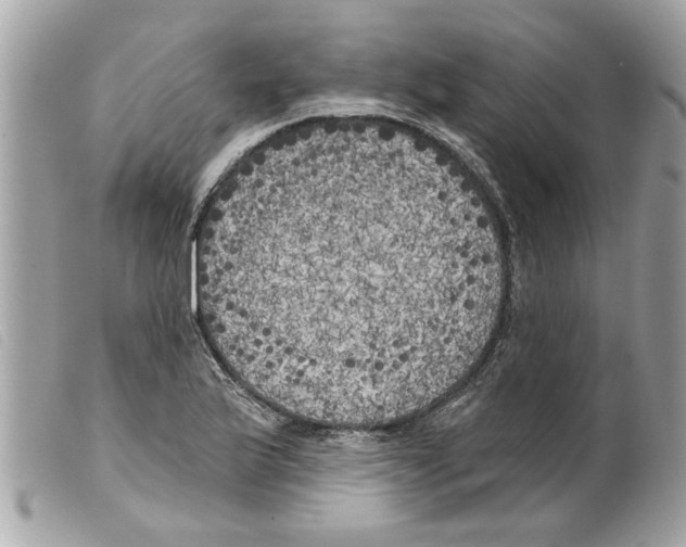 X0000099301175200805301127