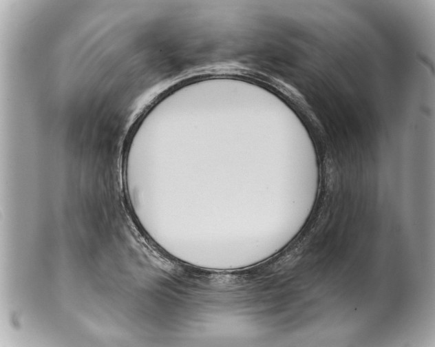 X0000099301176200805301127