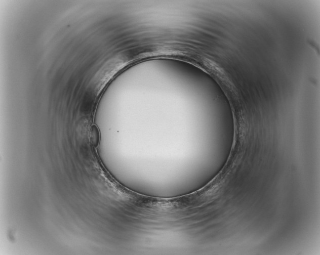 X0000099301177200805301127