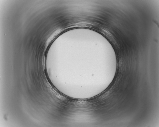 X0000099301180200805301127