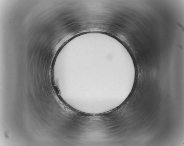 X0000099301181200805301127