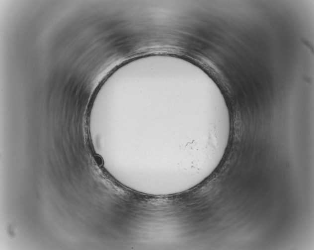 X0000099301182200805301127