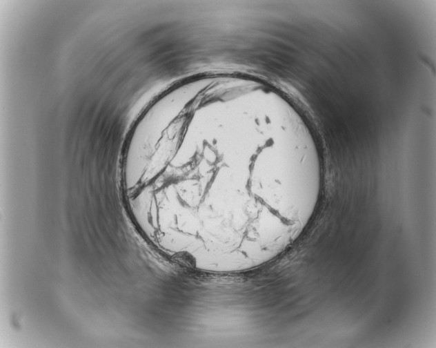 X0000099301183200805301127