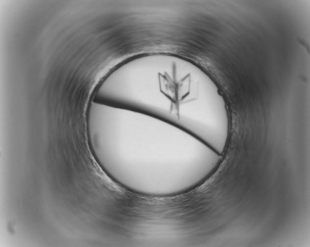 X0000099301184200805301127