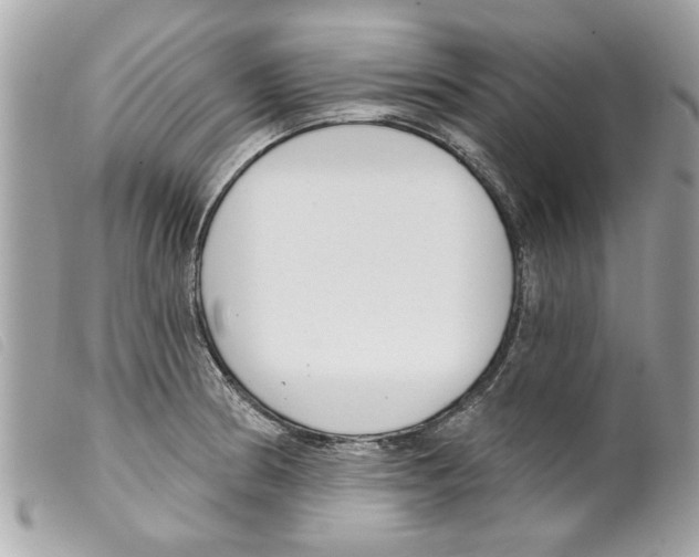 X0000099301186200805301127