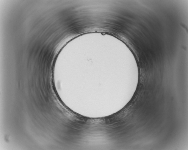 X0000099301187200805301127