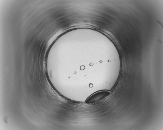 X0000099301188200805301127