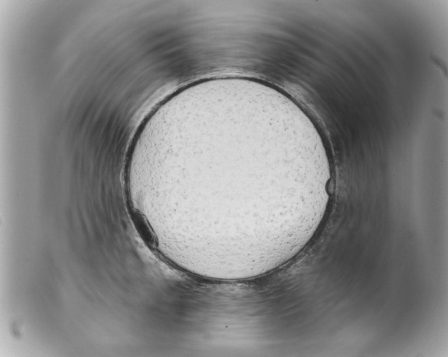 X0000099301189200805301127