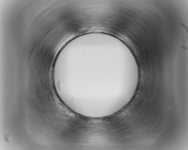 X0000099301190200805301127