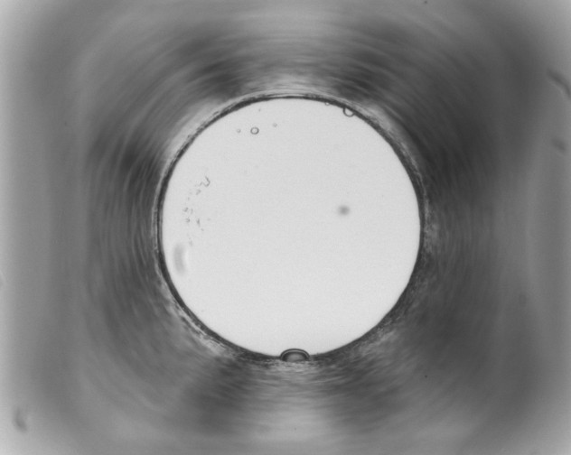 X0000099301191200805301127