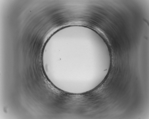 X0000099301192200805301127