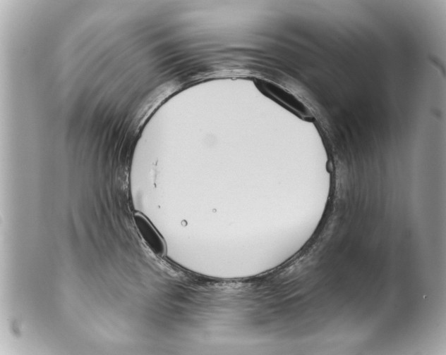 X0000099301193200805301127