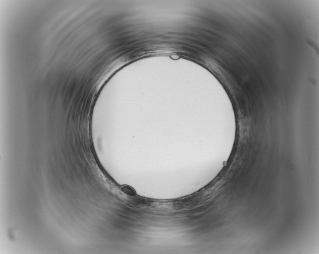 X0000099301194200805301127