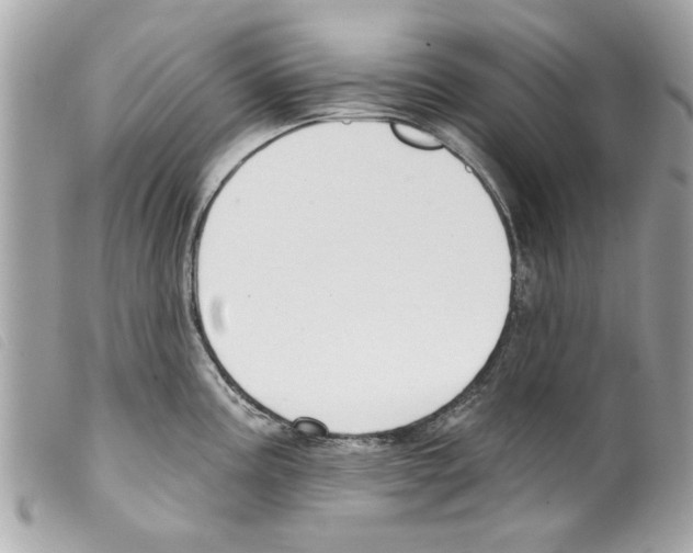 X0000099301195200805301127