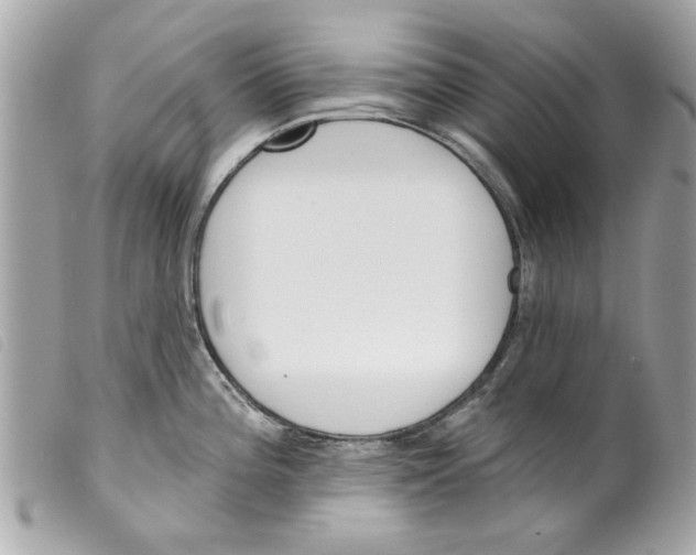 X0000099301196200805301127