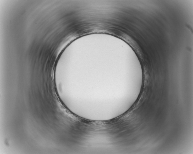 X0000099301198200805301127