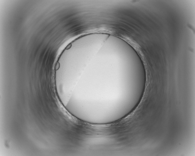 X0000099301200200805301127