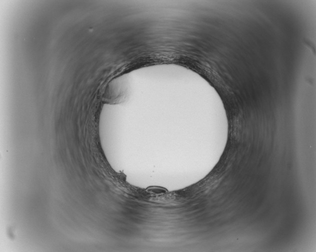 X0000099301201200805301126