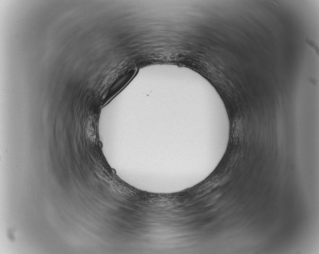 X0000099301202200805301126