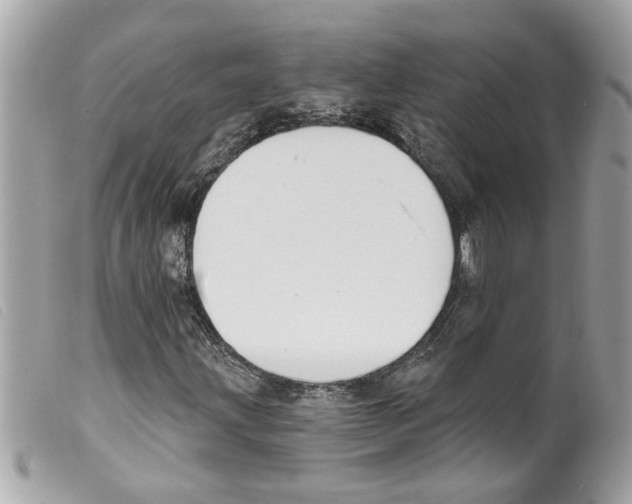 X0000099301203200805301126