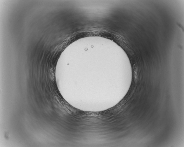 X0000099301204200805301126