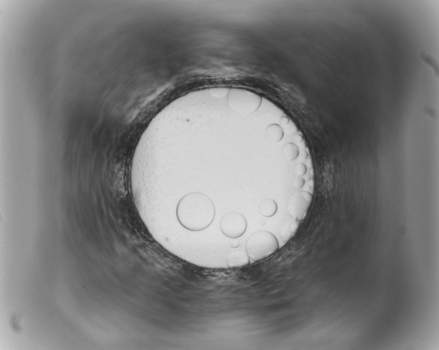 X0000099301205200805301126