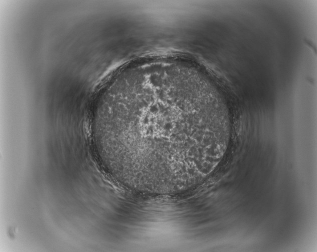 X0000099301206200805301126